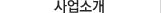 사업분야